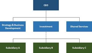Maybe you would like to learn more about one of these? Photo Holding Company Structure Overview Holding Company Bfn Ie