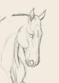 Art Sketches Horse Drawings Animal Drawings Art Sketches