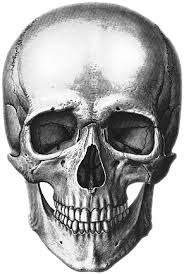 A fun drawing tutorial that shows you every step of the way. Download Hd Report Abuse Realistic Pirate Skull Drawing Transparent Png Image Nicepng Com