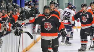 We did not find results for: Prospect Profile Cole Sillinger Draftgeek
