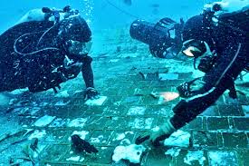 I Dive the Bermuda Triangle for Wrecks. We Made a Shocking Discovery -  Newsweek