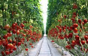 Finanțarea nerambursabilă trebuie să fie cuprins între 30.000 și 100.000 euro, reprezentând maximum 90% din totalul cheltuielilor eligibile. Fonduri Europene Nerambursabile 2020 In Mediul Rural