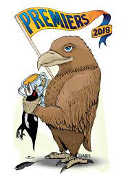 What television channel is west coast eagles vs collingwood on? West Coast Eagles Vs Collingwood Magpies Afl Grand Final The Aftermath Birdswitharms