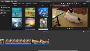 Additional information on imovie can be found. How To Change Speed Of A Video In Imovie On Mac And Ios