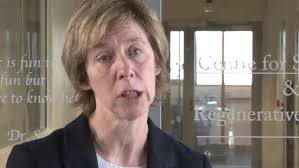 Interview with Professor Fiona Watt, Director of KCL's Centre for Stem  Cells and Regenerative Medici