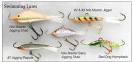 Bait for walleye fishing
