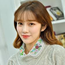 Col demi-longueur col décoratif couleur Organza brodé faux col de chemise  acheter à prix bas — livraison gratuite, avis réels avec des photos — Joom