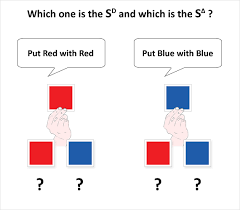 Discriminative Stimulus And Stimulus Delta Educate Autism