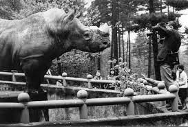 Areál zoologické zahrady ostrava se rozkládá mezi městkými částmi ostravy a to slezkou ostravou a michálkovicemi. Historie O Zoo Zoo Ostrava