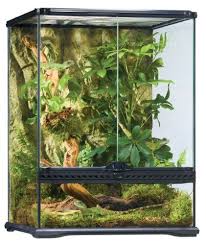 Exo Terra Rainforest Habitat Kit Medium By Hagen For Carpet Chameleon Rainforest Habitat Reptile Enclosure Habitats