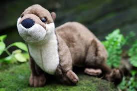 All visitors will require free entry passes and be required to follow safety measures. Adopt An Animal Gifts South Carolina Aquarium