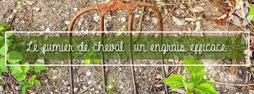 Quel fumier choisir pour son jardin ? Pourquoi Le Fumier De Cheval Est Un Engrais Efficace Conseil Jardin