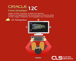 Image result for Computers Programming Languages PL-SQL