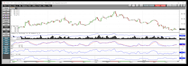 Soft Commodities Q3 2019 Review And The Outlook For Q4 2019