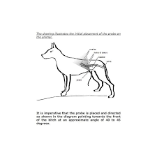Benefits diagnosis effectiveness close to 100%, early diagnosis of pregnancy helps to separate pregnant females from sterile ones. Draminski Pregnancy Detector For Dogs Heritage Animal Health