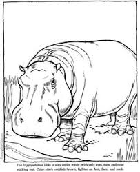 Coloring pictures of cute zoo animals: 34 Zoo Activities Ideas Zoo Activities Animal Coloring Pages Coloring Pages