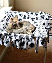 Don't hesitate to make one! Diy No Sew Cat Hammock 25 Adorable Diy Projects You And Your Pet Will Be Fascinated About Cat Hammock Cat Hammock Tutorial Cat Diy