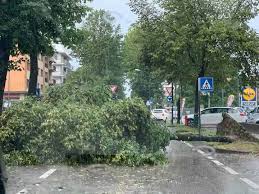Il maltempo si abbatte su veneto e friuli venezia giulia oggi, martedì 17 luglio. Maltempo Nubifragio Vento E Grandine In Citta Massaro Se Andate In Giro Prestate Attenzione Bellunopress Dolomiti