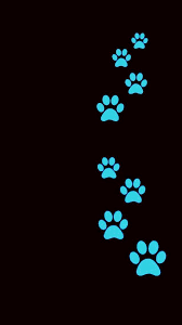 Blue Paw Prints Papel De Parede De Gato Papeis De Parede Para Iphone Papeis De Parede