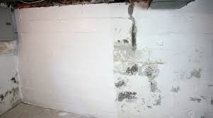 The drylok® i used for this project was drylok® extreme. Waterproofing Basement Walls With Drylok Paint Waterproofing Basement Waterproofing Basement Walls Basement Walls