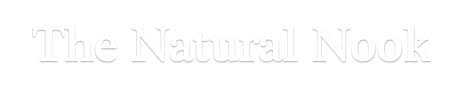 Check spelling or type a new query. Gearhart Florist Flower Delivery By The Natural Nook