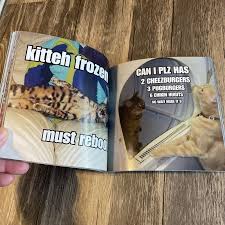 Image result for i can has cheezburger