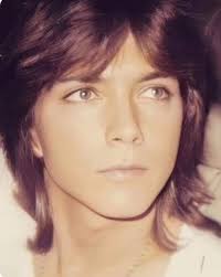 Remembering David Cassidy, April 12, 1950-November 21, 2017,  🙏🏽❤️🎂⭐🎤🎥🎶