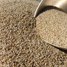 Motif de la demande de derogation : Graines Potageres Engrais Vert Teff Eragrostis Tef Graineterie A Ducrettet