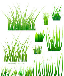 Green Grass Vector Https Www 123freevectors Com Green Grass Vector Grass Vector Grass Free Vector Illustration