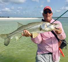Aug 14, 2015 · mangrove shore lines and other heavy cover areas the most effective method of catching snook in heavy cover areas is to pitch a live bait or lure into areas known to hold fish. 3 Tips To Catching Snook In The Summer From The Beach