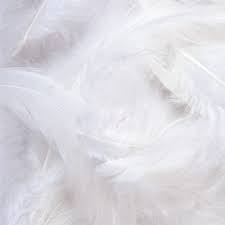 From horsehair stuffing to upholstery foam, discover the various types of sofa fillings available sofa fillings are varied in type, material and outcome so, depending on what you want from your sofa. Types Of Sofa Fillings Sofa Stuffing Guide Luxdeco Com