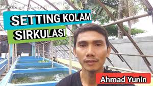 Ternak Ikan Gurame Sistem Sirkulasi Youtube
