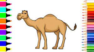 Print, color and enjoy these camel coloring pages! How To Draw A Camel And Color Camel Coloring Page Animals Coloring Pages Youtube