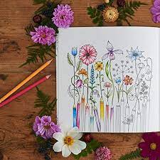 We did not find results for: World Of Flowers A Coloring Book And Floral Adventure Basford Johanna Amazon De Bucher