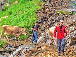 Jodok am brenner nach osten in die zillertaler alpen erstreckt. Die Zeisch Alm Hier Ist Alles Ungewohnlich Tirol Isch Toll