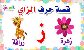 قصة حرف الزاي بالصور للاطفال قصص الحروف الأبجدية مصورة Arabic Kids Arabic Alphabet Letters Children S Day
