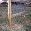 For our goats we have built the diy plastic drum goat hay feeder, diy wood pallet goat hay feeder however, i really want to try this diy storage container goat feeder i found on pinterest the other day. 1