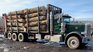 We did not find results for: Roberts Brothers Lumber Company