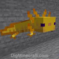 Home minecraft texture packs 1.17 entities warden axolotl goat minecraft texture pack. Axolotl In Minecraft