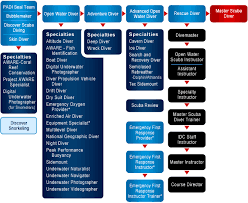 Padi Development Chart Chart Diving