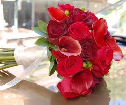 We did not find results for: Weekly Florist Pictures Flower Shop Network
