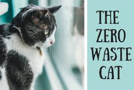 Your cat should have a designated, private spot to relieve themselves. Zero Waste Cat A Complete Checklist