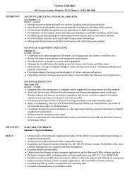 Financial Executive Resume Samples Velvet Jobs