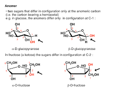 An anomer is a type of geometric variation found at certain atoms in carbohydrate molecules. Sugar And Carbohydrate Chemistry Definitions 29 Key Terms To Know