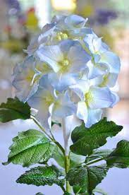 Wired Flower Paste Hydrangea Gum Paste Hydrangea Sugar Flowers Tutorial Gum Paste Flowers Tutorials