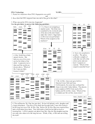 One of two men can be the father of her child. Dna Technology Worksheet Answer Key Promotiontablecovers
