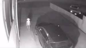 Creepy Video Goes Viral On Twitter And Everyone Is Convinced Shadowy Figure Is Dobby The House Elf From Harry Potter Brobible