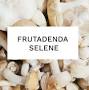 Frutadenda Selene from gure.laguntza.eus