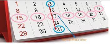 Pasangan yang ingin menimang cahaya mata, bolehlah lebih kerap. Cara Menghitung Masa Subur Wanita Si Untung