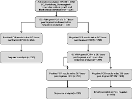 flow chart visualizing the hierarchical sequence of pcr